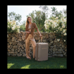 Kép Plastový kufr SUITSUIT® Fab Seventies Taupe L - hnědá - 91 L